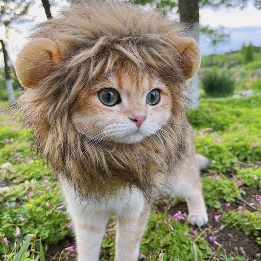Lion Mane kat kostuum